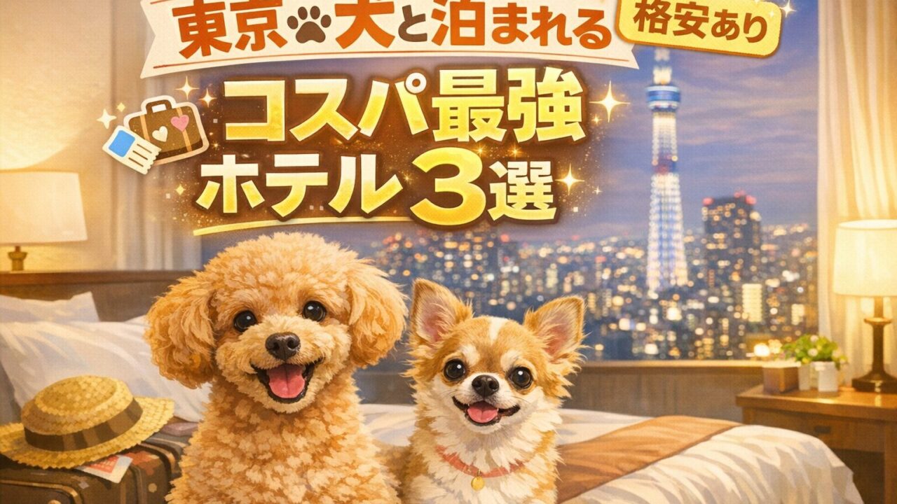 東京で犬と泊まれる安いホテル3選のアイキャッチ画像｜コスパ最強で格安ありの宿を紹介