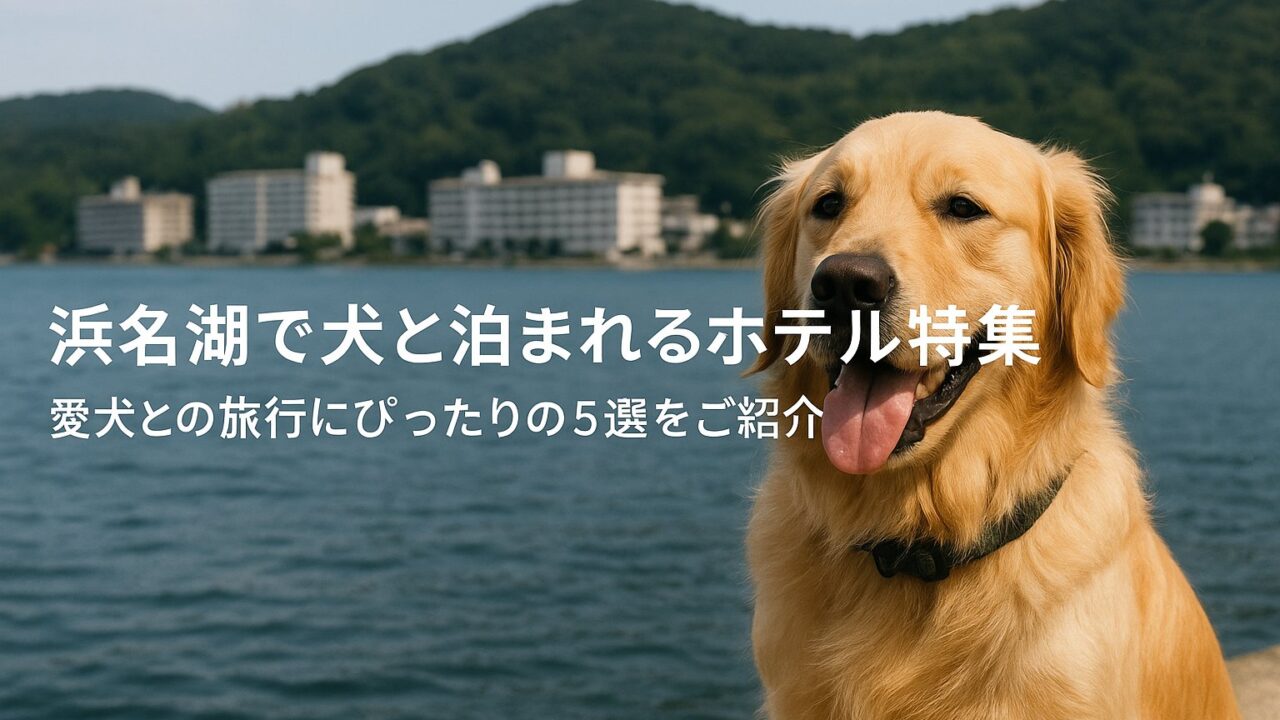 浜松市で犬と泊まれるホテルの画像